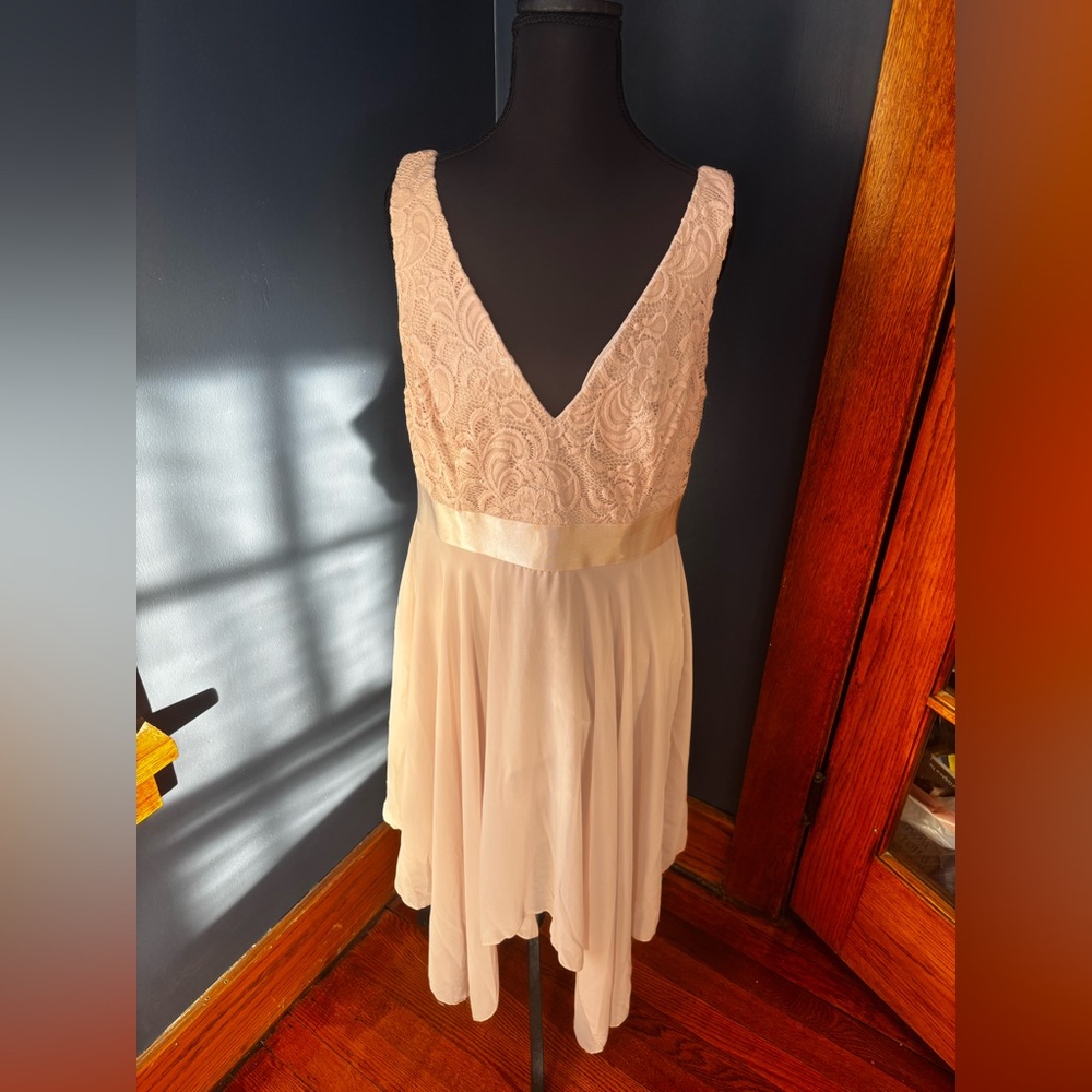 Elegant Lace and Chiffon Blush pink Dress